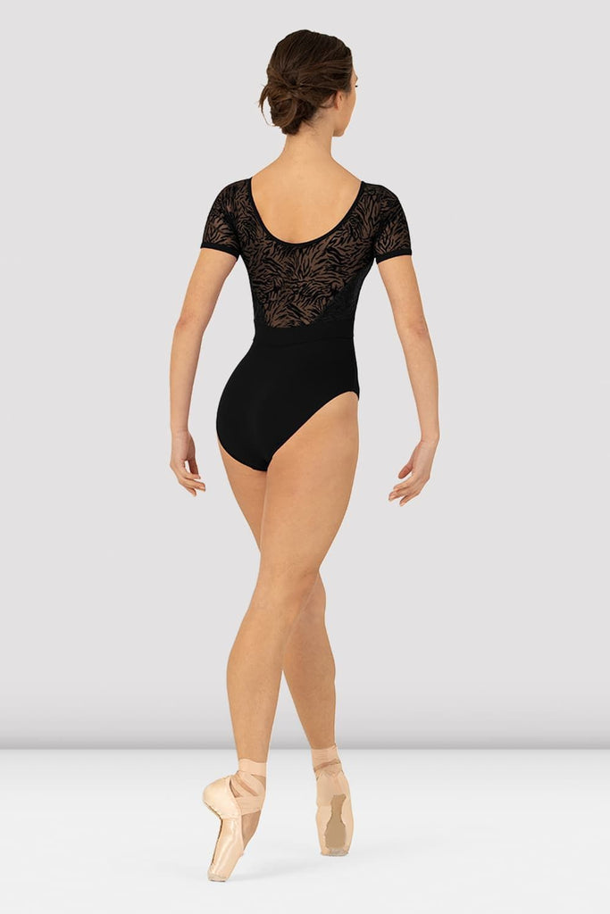 Speerise Womens Classic Long Sleeve Spandex Leotard Ballet Dance Bodysuit,  Black, XS : : Clothing, Shoes & Accessories